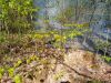 Brand - mittel
