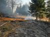 Brand - mittel