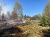 Brand - mittel